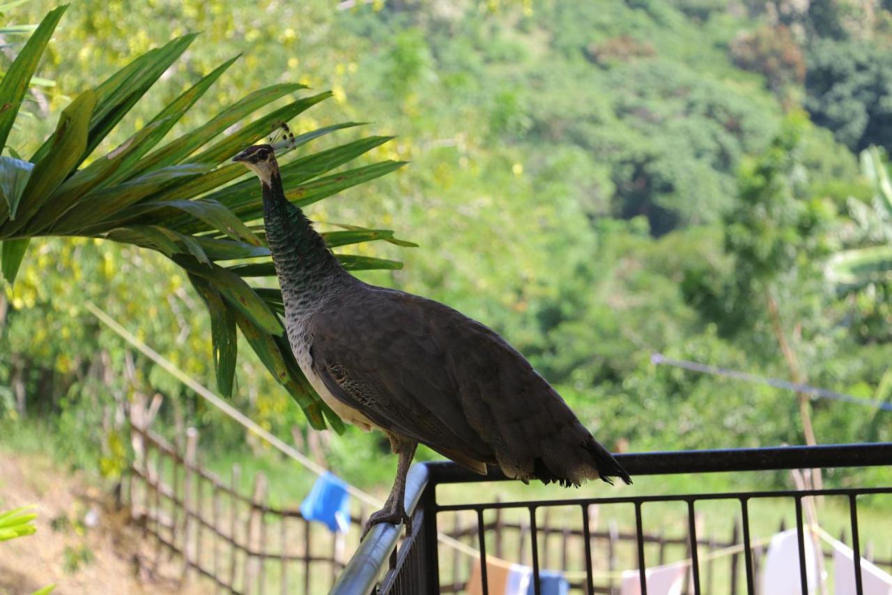 Hotel Colinas Del Rey Hato Mayor Del Rey Zewnętrze zdjęcie
